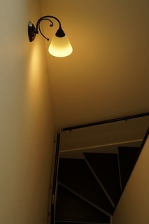 DSC08699.jpg