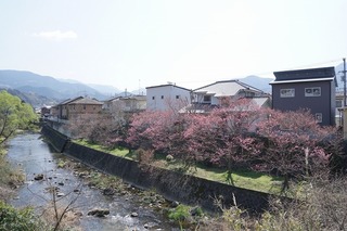 DSC00861.jpg