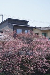 DSC00865.jpg